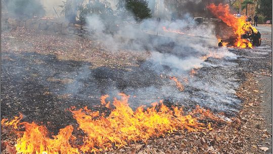 Fire Dept. Extinguishes Additional Brush Fires