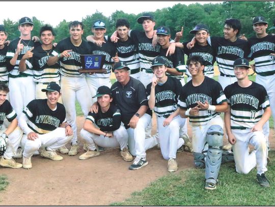 Baseball Team Wins Sectionals