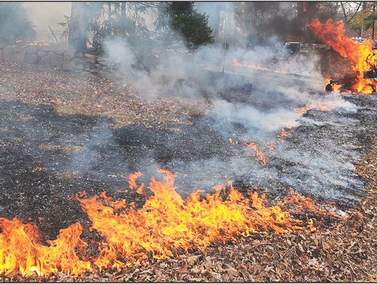 Fire Dept. Extinguishes Additional Brush Fires