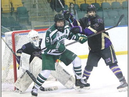 Hockey Team Advances In State Tournament