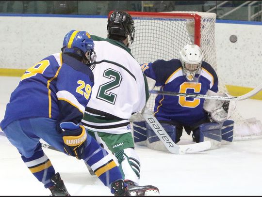 HOCKEY TEAM BESTED BY CRANFORD