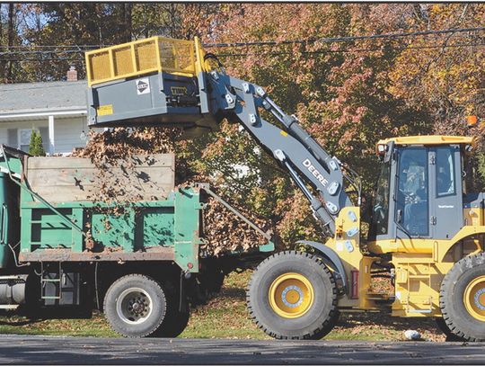 LEAF COLLECTION PROGRAM