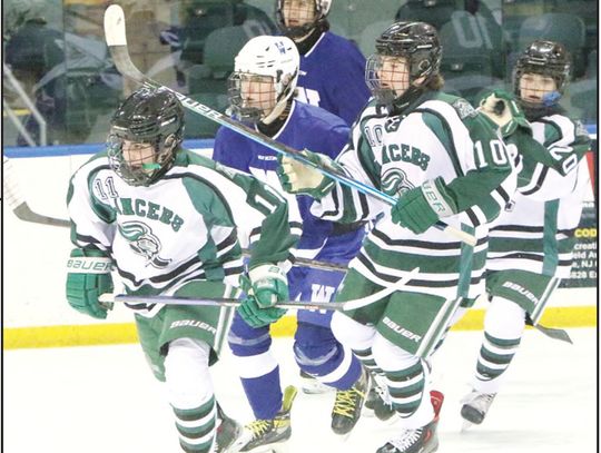 LIVINGSTON HOCKEY TAKES HOME WIN