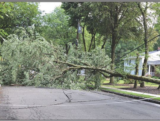 STORM DAMAGE