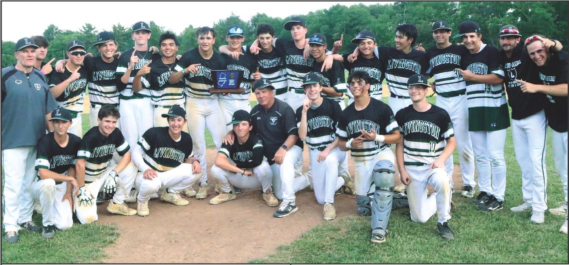 Baseball Team Wins Sectionals