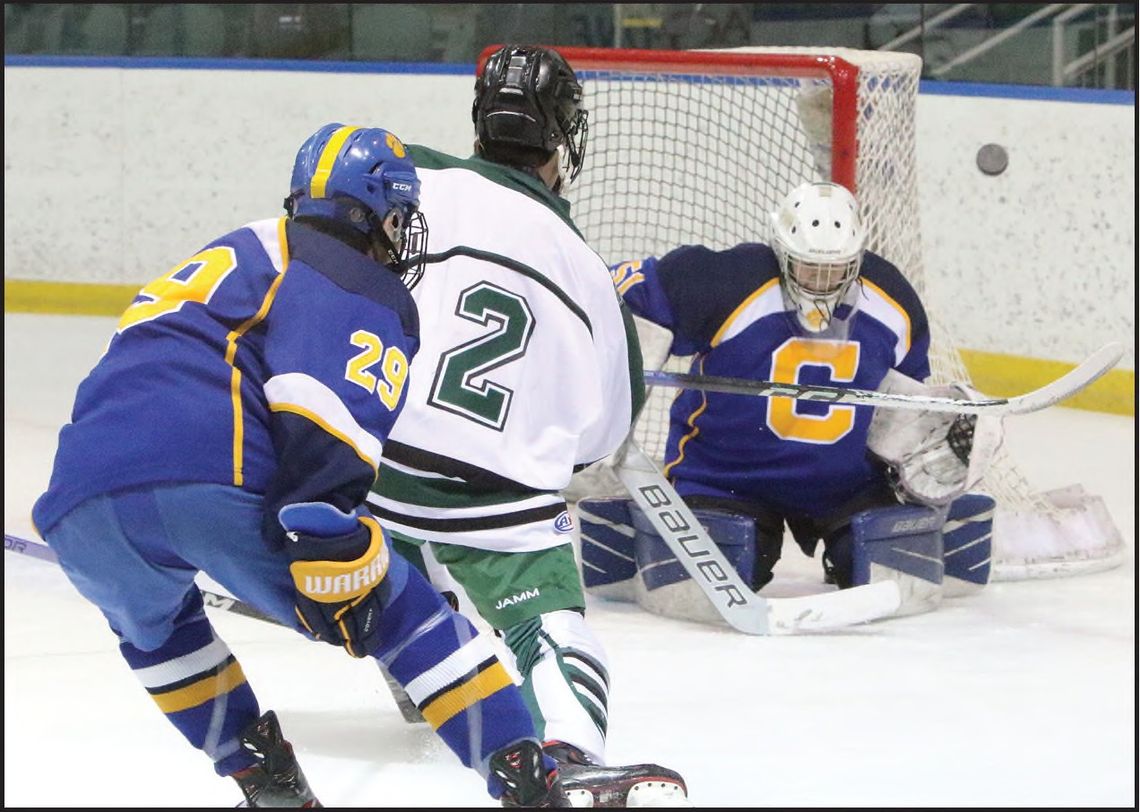 HOCKEY TEAM BESTED BY CRANFORD