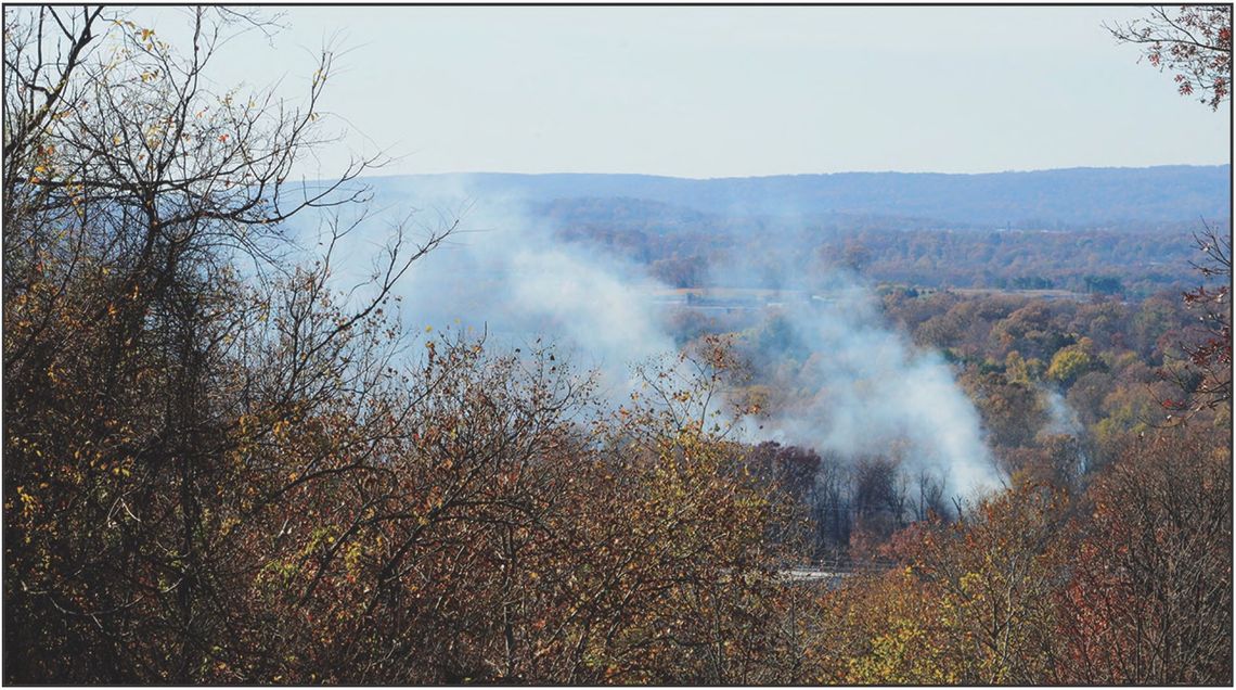 LFD Responds To Wildfire Flare Ups