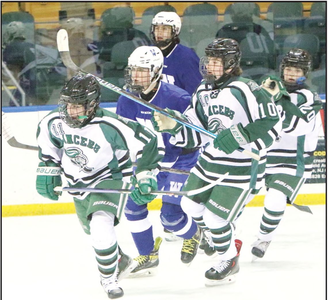 LIVINGSTON HOCKEY TAKES HOME WIN