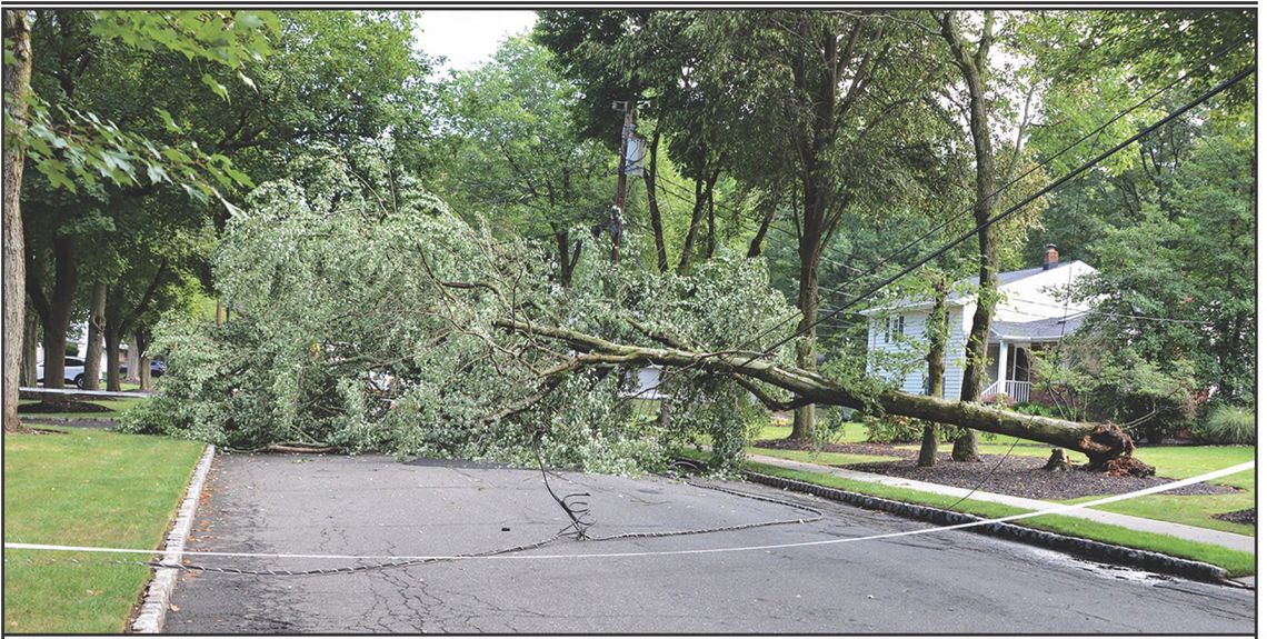 STORM DAMAGE