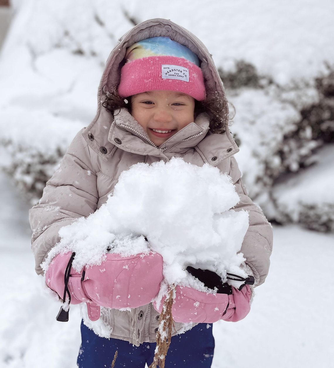 WINTER STORM HITS LIVINGSTON